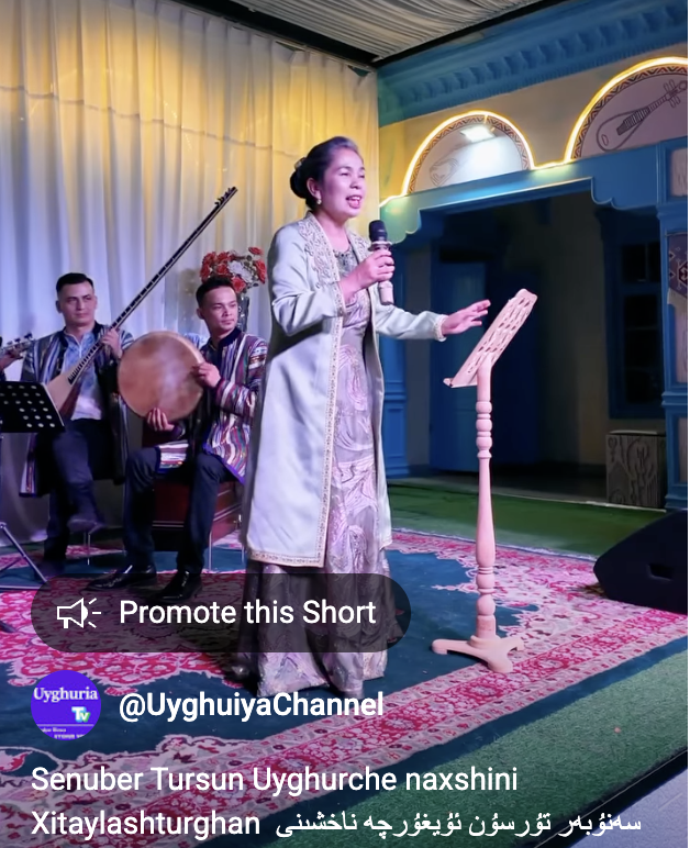 سەنۇبەر تۇرسۇن